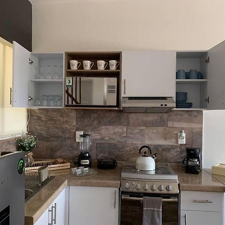 Departamento Completo Y Equipado Con 2 Habitaciones ليون المظهر الخارجي الصورة